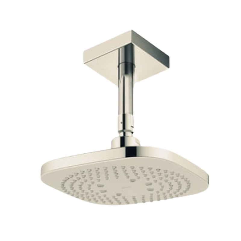 Bát sen gắn trần TOTO TBW02003B1A#BN Màu Nickel Mờ