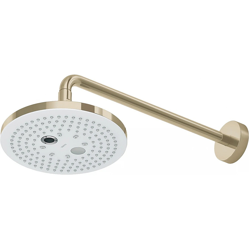 Bát sen gắn tường TOTO TBW01004A#BFG Màu Vàng Pháp Mờ