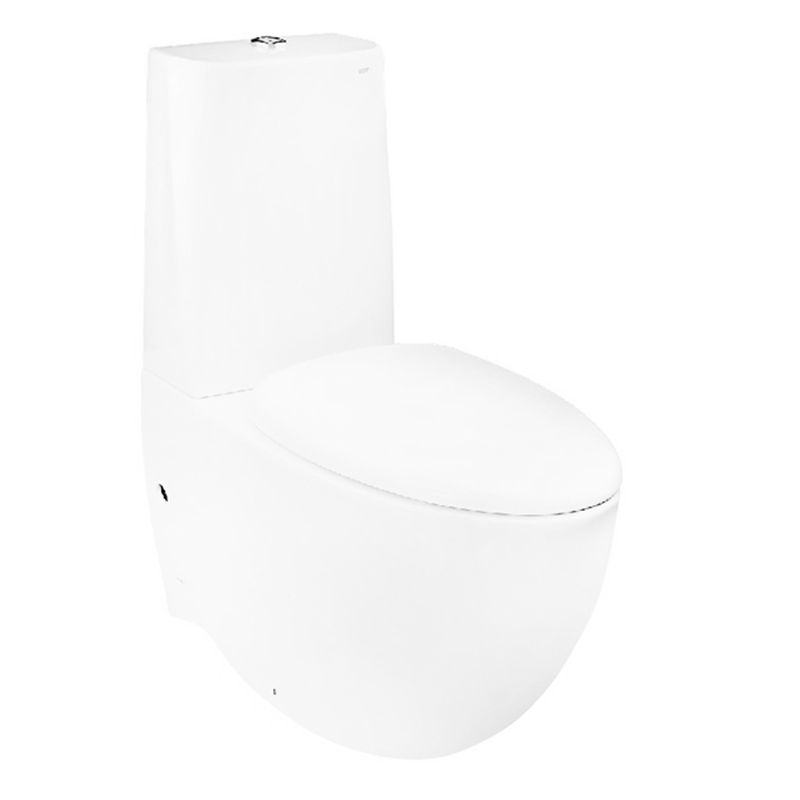 Bồn cầu hai khối TOTO CW811NPJWS/SW811NJP/811-8/TC811SJ/TX215C nắp đóng êm