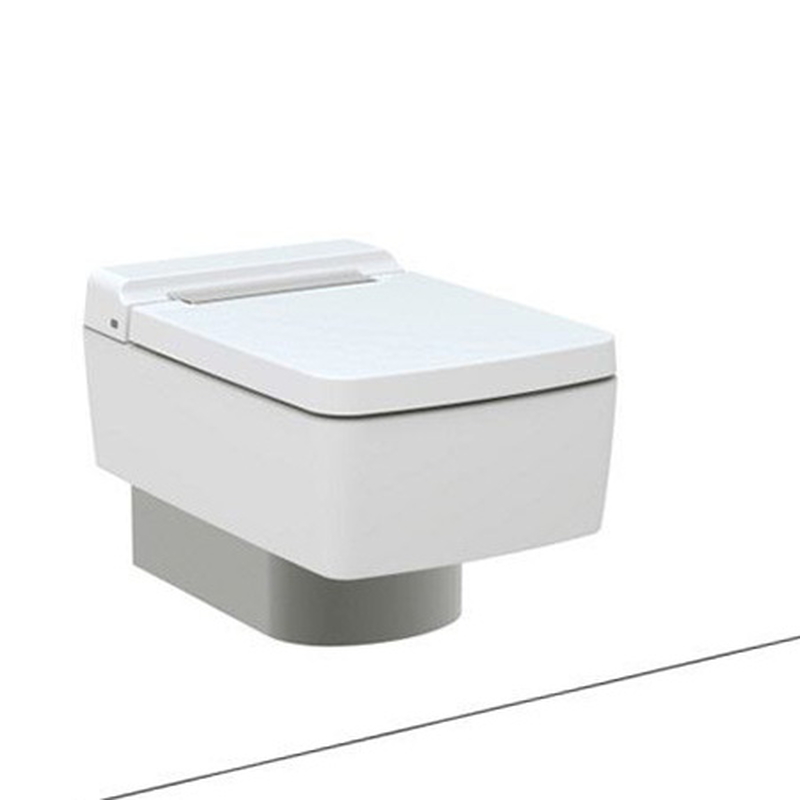 Bồn cầu treo tường TOTO CW512YR/7EE0007/TC501CVK nắp đóng êm