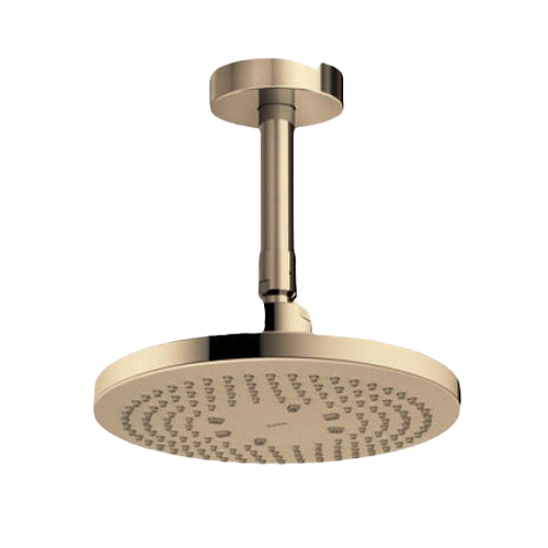 Bát sen gắn trần TOTO TBW01003B1A#BBR Màu đồng