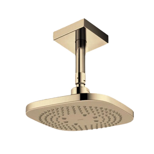 Bát sen gắn trần TOTO TBW02003B1A#BFG Màu Vàng Pháp Mờ