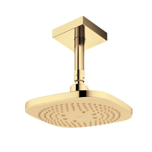 Bát sen gắn trần TOTO TBW02003B1A#PFG Màu Vàng Pháp Bóng