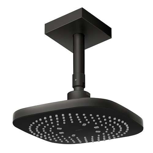 Bát sen gắn trần TOTO TBW02003B1B#MBL Màu Đen